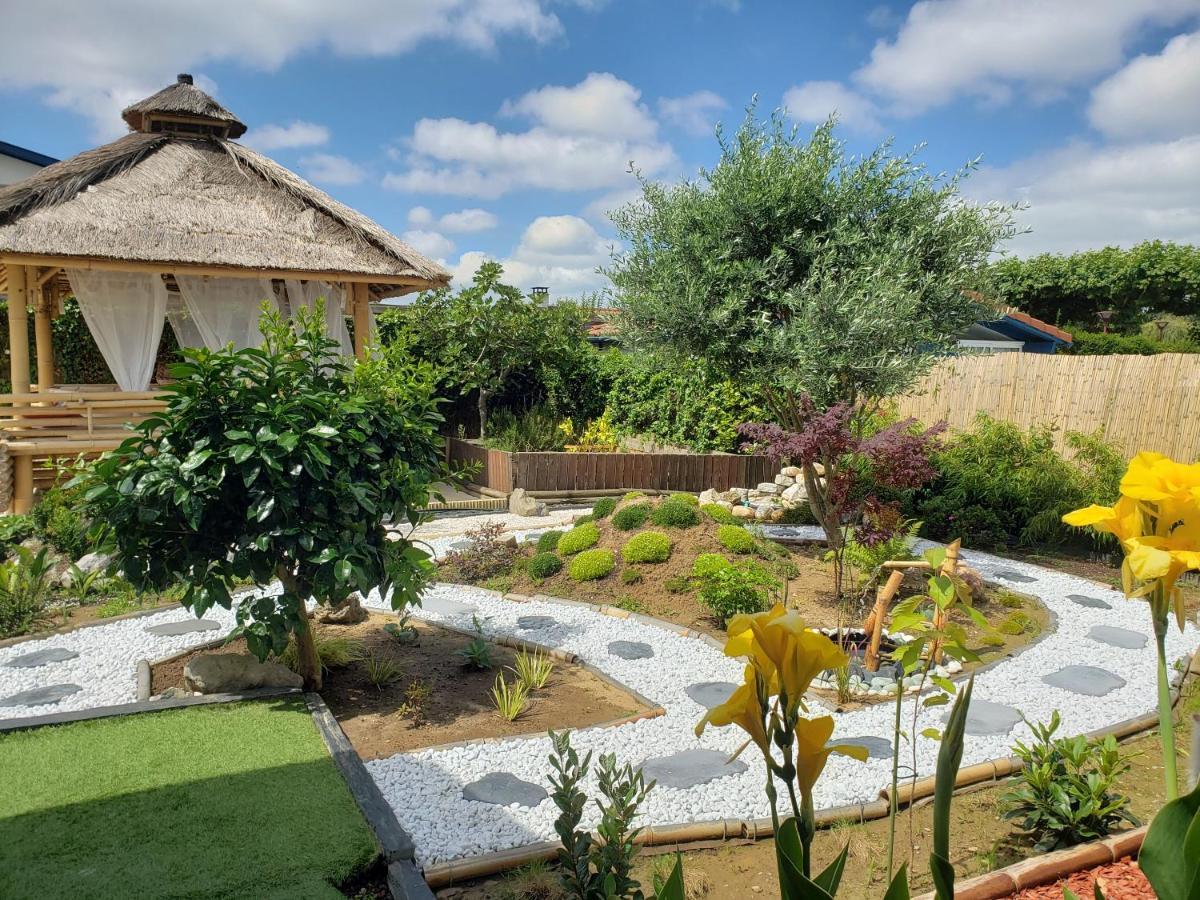 טארנו Chalet Zure Ondoan - Spa Et Piscine Chauffee מראה חיצוני תמונה